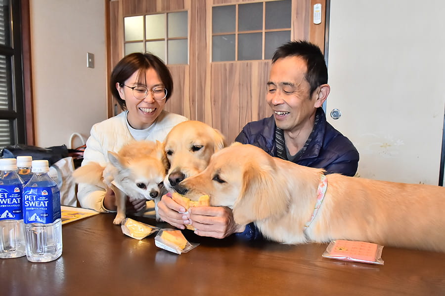 ウェルカムスイーツを食べるワンちゃん