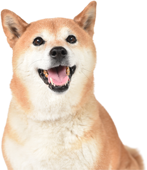 ワンちゃん
