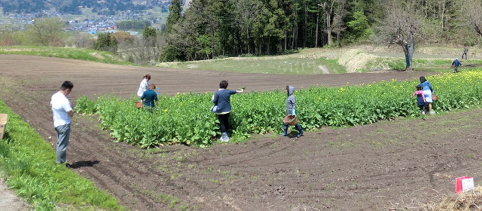 agri