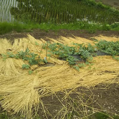 agri