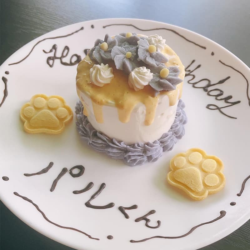 ワンちゃんケーキ