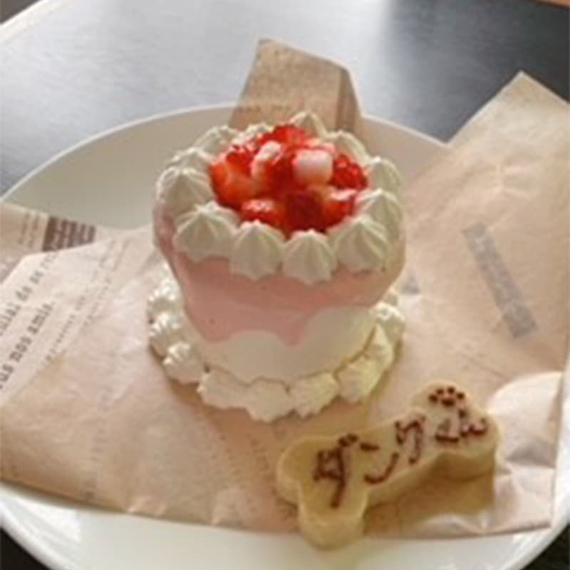 ワンちゃんケーキ