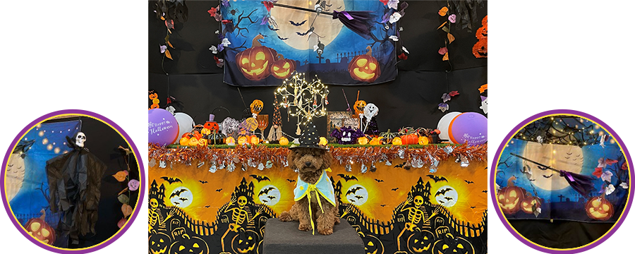 2023年 ハロウィン