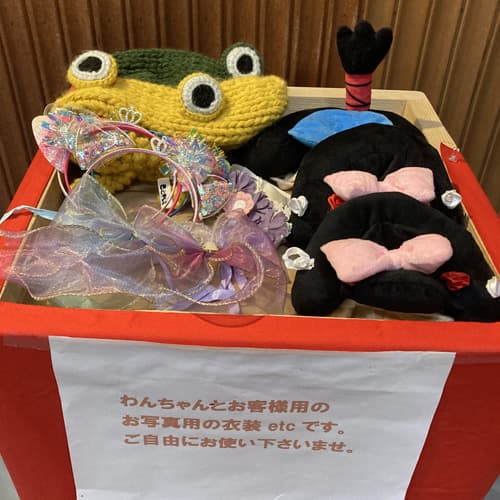 2025年 ひなまつり