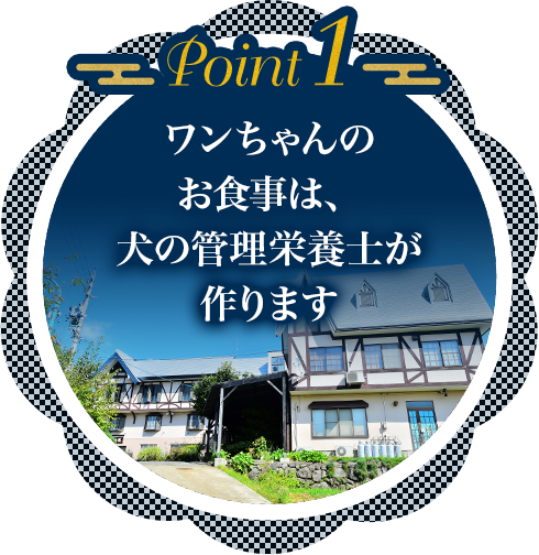 point01