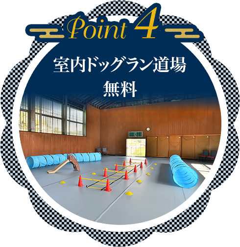 point04