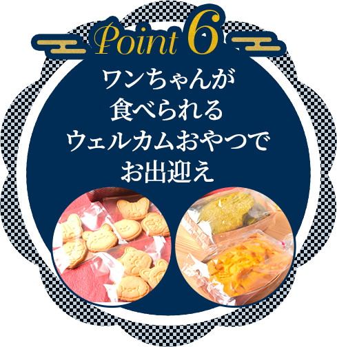 point06